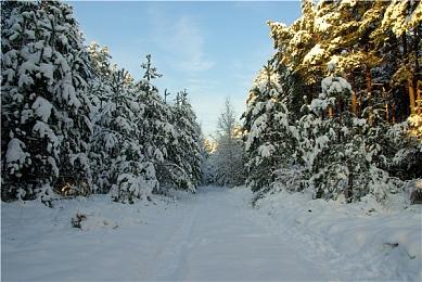 《王者荣耀》关羽皮肤取消上线 疑被举报违法暴力